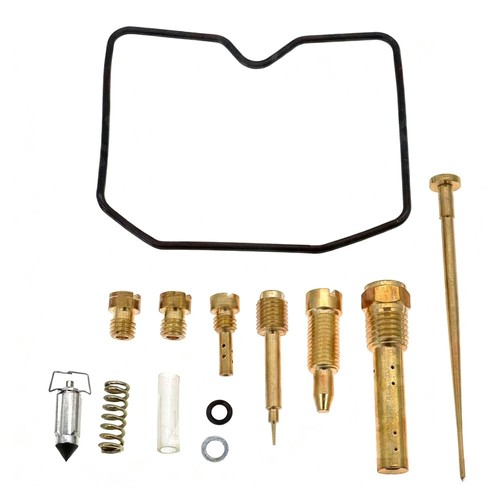 Motor reparatur vergaser - vergaser, kit